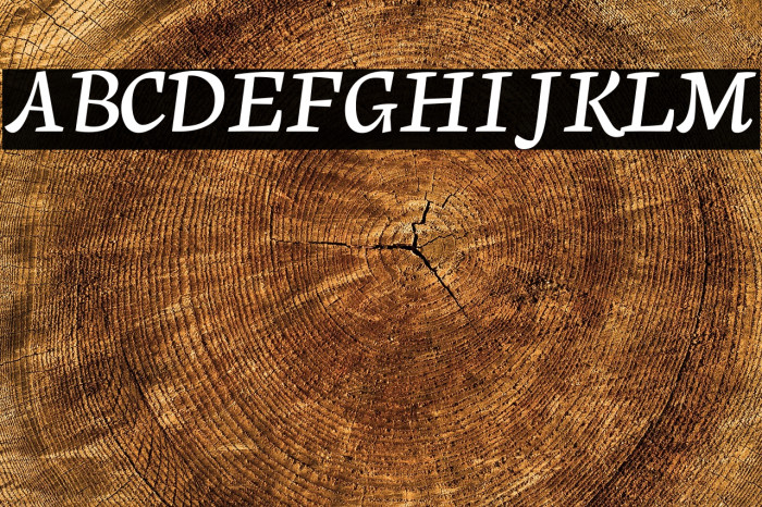 Neuton Cursive Example 3