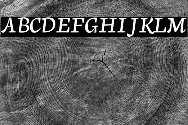 Neuton Cursive Font examples