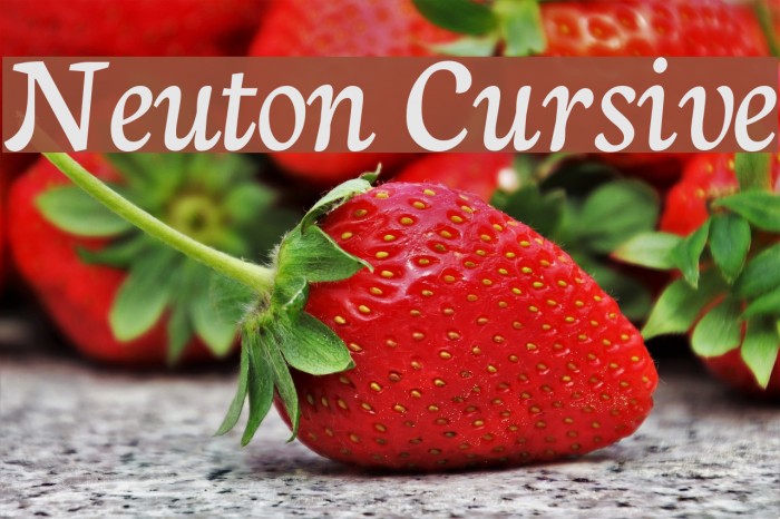 Neuton Cursive Font examples