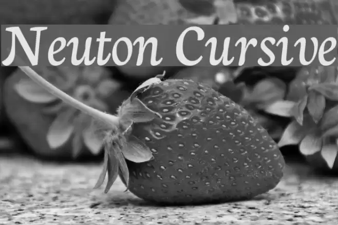 Neuton Cursive Font examples