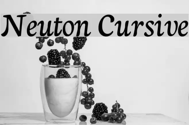 Neuton Cursive Font examples