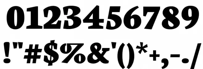 Neuton ExtraBold Font OTHER CHARS