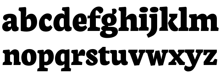 Neuton ExtraBold Font LOWERCASE