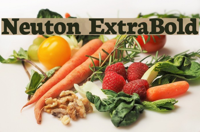Neuton ExtraBold Example 1