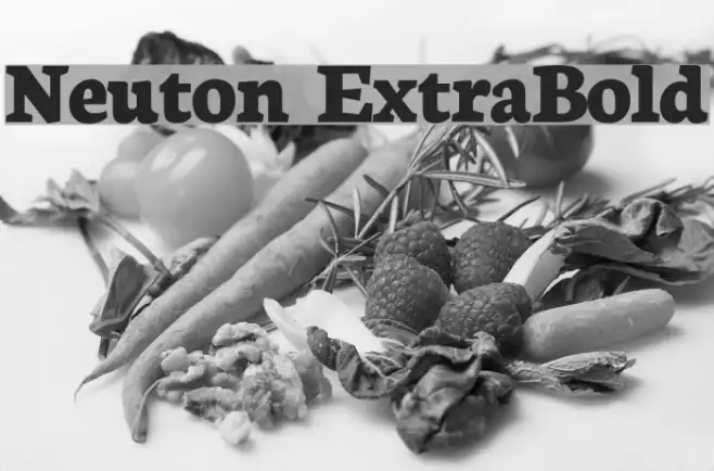 Neuton ExtraBold Example 1