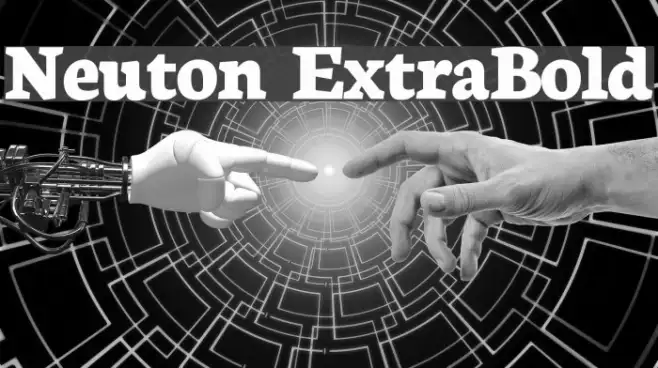 Neuton ExtraBold Example 2