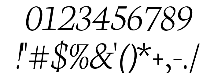 Neuton Extralight Italic Font OTHER CHARS