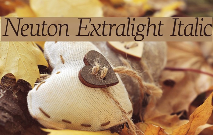 Neuton Extralight Italic Font examples