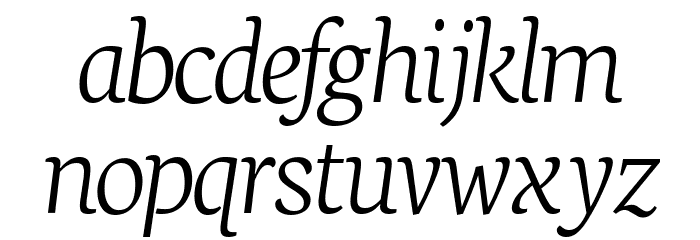 Neuton Extralight Italic Font LOWERCASE