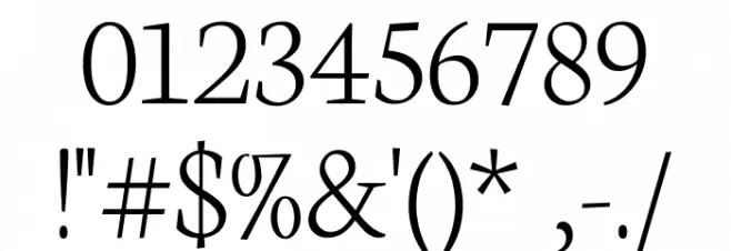 Neuton Extralight Font OTHER CHARS