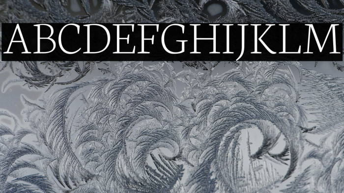 Neuton Extralight Example 1