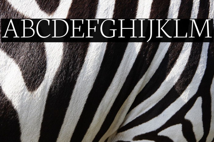 Neuton Extralight Example 2