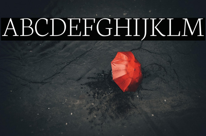 Neuton Extralight Example 3