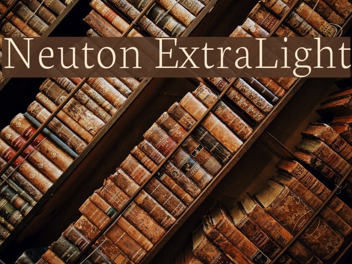 Neuton ExtraLight Example 1