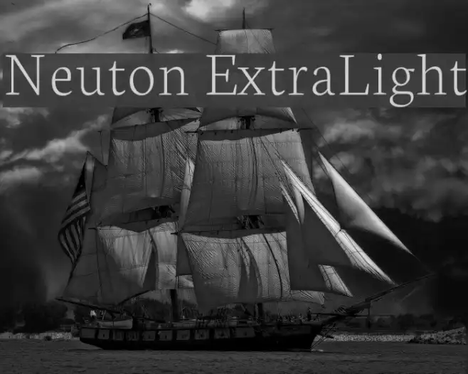Neuton ExtraLight Example 2