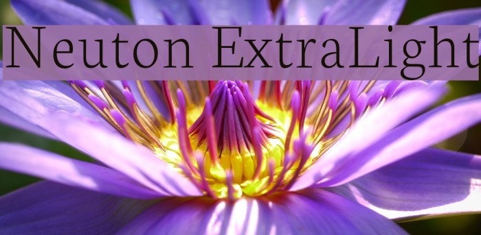 Neuton ExtraLight Example 3
