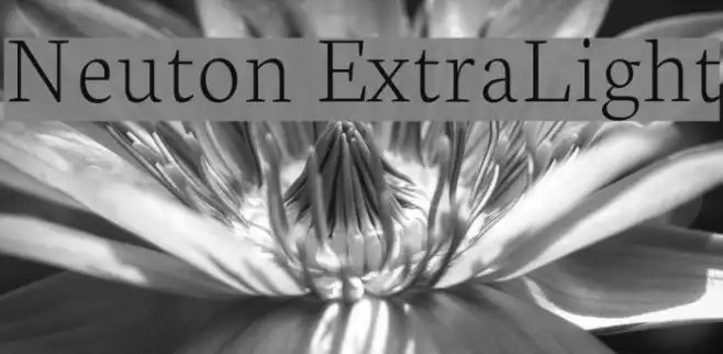 Neuton ExtraLight Example 3