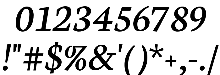 Neuton Italic Font OTHER CHARS