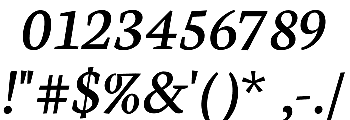 Neuton Italic Font OTHER CHARS