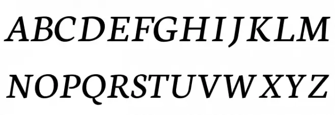 Neuton Italic Schriftart Groß