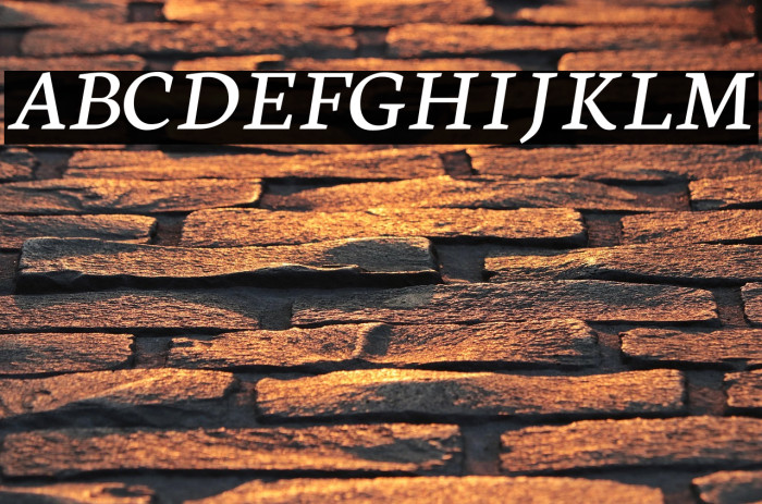 Neuton Italic Example 1