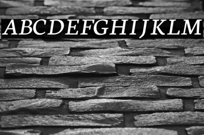 Neuton Italic Font examples