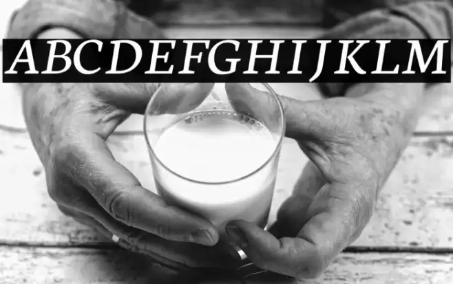 Neuton Italic Font examples