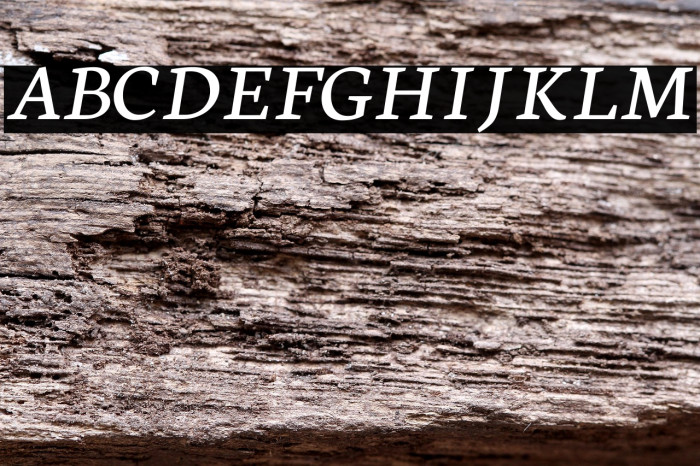 Neuton Italic Example 3