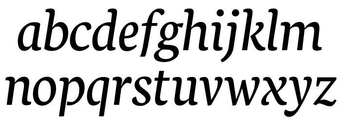 Neuton Italic Font LOWERCASE