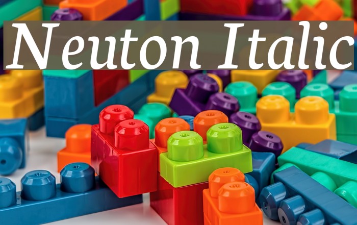 Neuton Italic Font examples