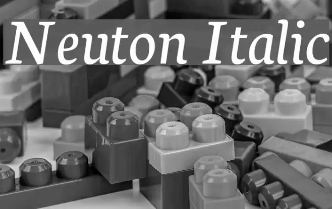 Neuton Italic Fuentes examples