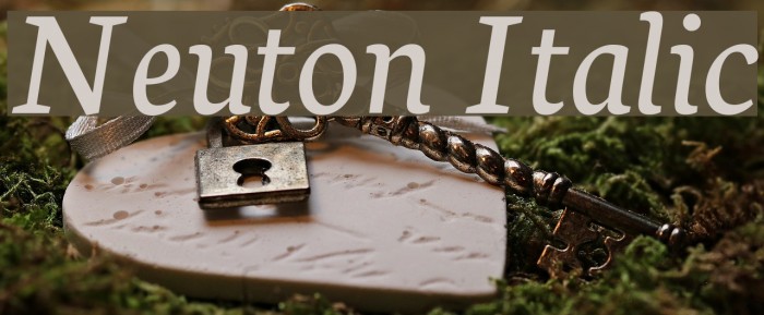 Neuton Italic Font examples