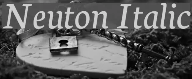 Neuton Italic Fuentes examples