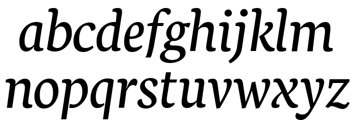 Neuton Italic Font LOWERCASE