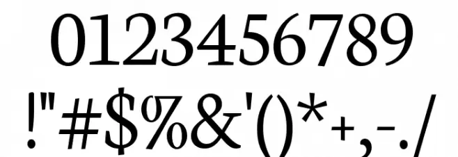 Neuton Light Font OTHER CHARS