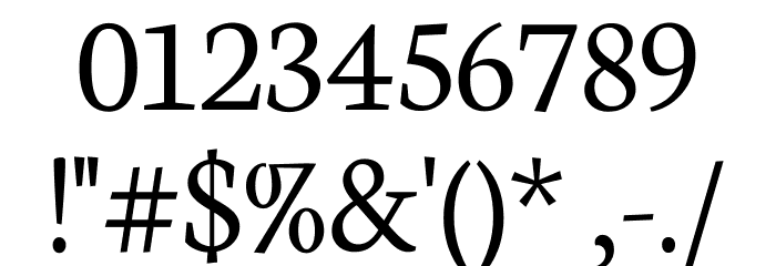 Neuton Light Font OTHER CHARS
