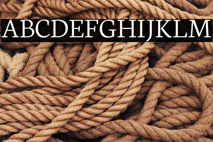 Neuton Light Example 3