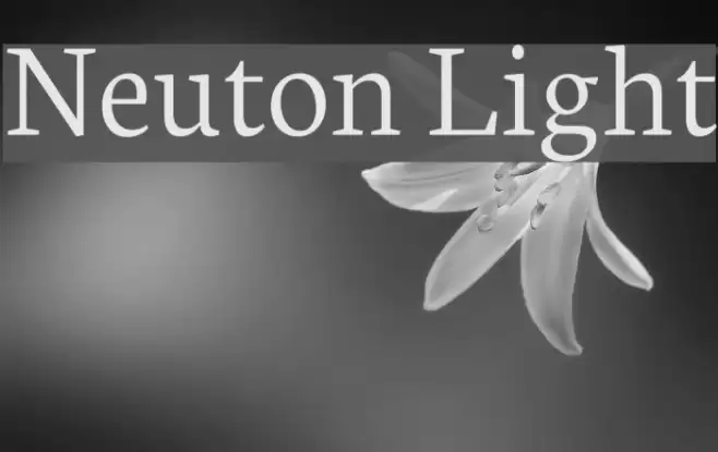 Neuton Light Font examples