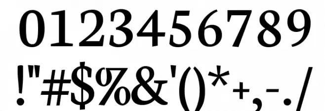 Neuton Regular Font OTHER CHARS