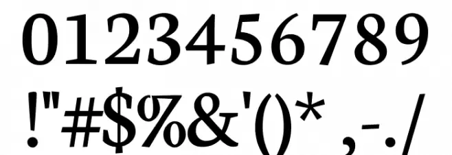 Neuton Regular Font OTHER CHARS