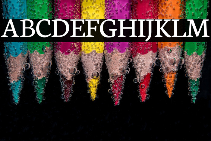 Neuton Regular Example 2