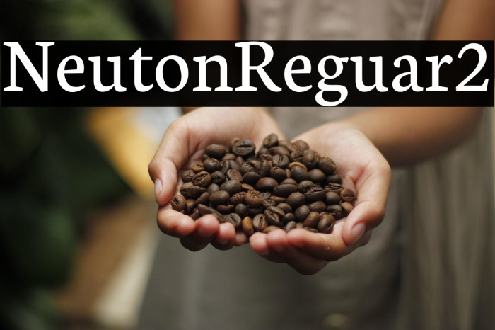 Neuton Regular2 Example 2