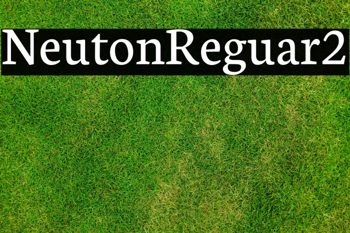 Neuton Regular2 Example 3