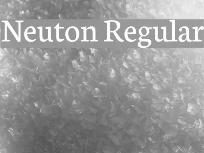Neuton Regular Font examples
