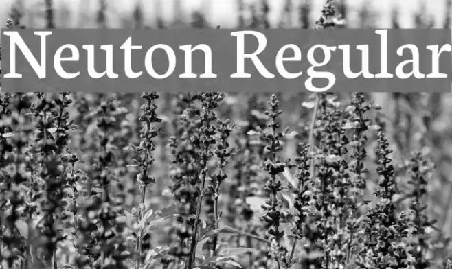 Neuton Regular Font examples