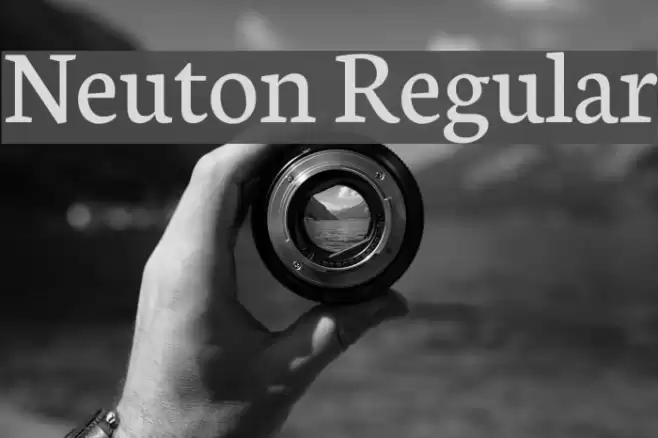 Neuton Regular Font examples