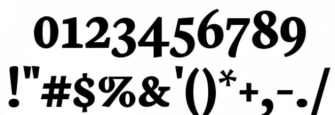 Neuton SC Bold Font OTHER CHARS