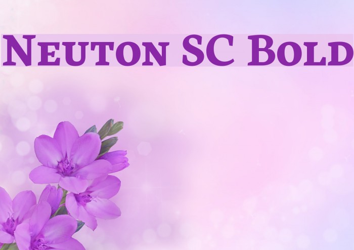Neuton SC Bold Font examples