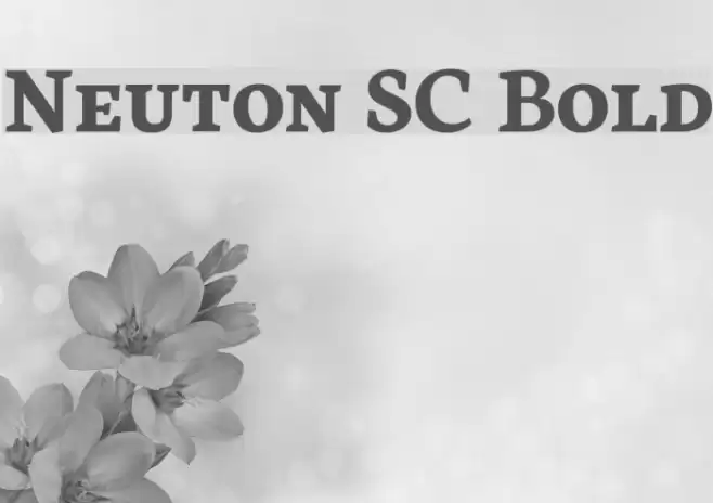 Neuton SC Bold Font examples