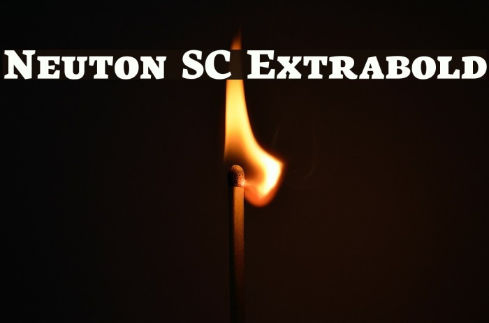 Neuton SC Extrabold Font examples